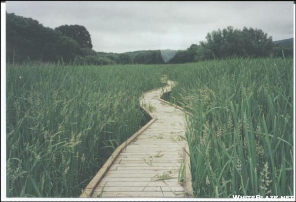 Boardwalk at County Rt 565