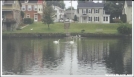 Fish Pond in the center of Boiling Springs, PA by Hammock Hanger in Maryland & Pennsylvania Trail Towns