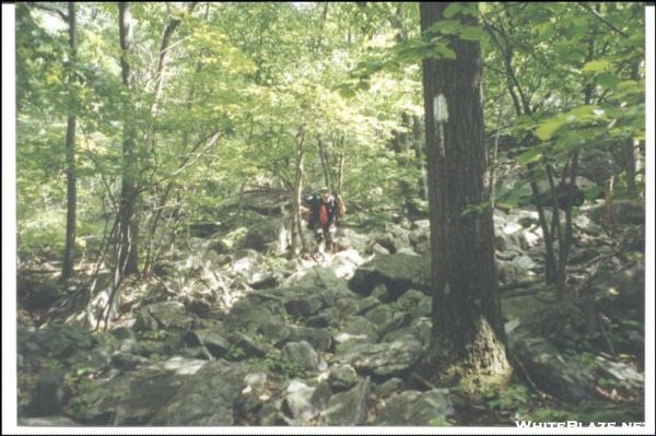 Nobo towards Kirkridge Shelter, PA