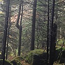 Foggy Roan Highlands by wilconow in Trail & Blazes in North Carolina & Tennessee