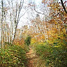 Ivestor Gap Trail