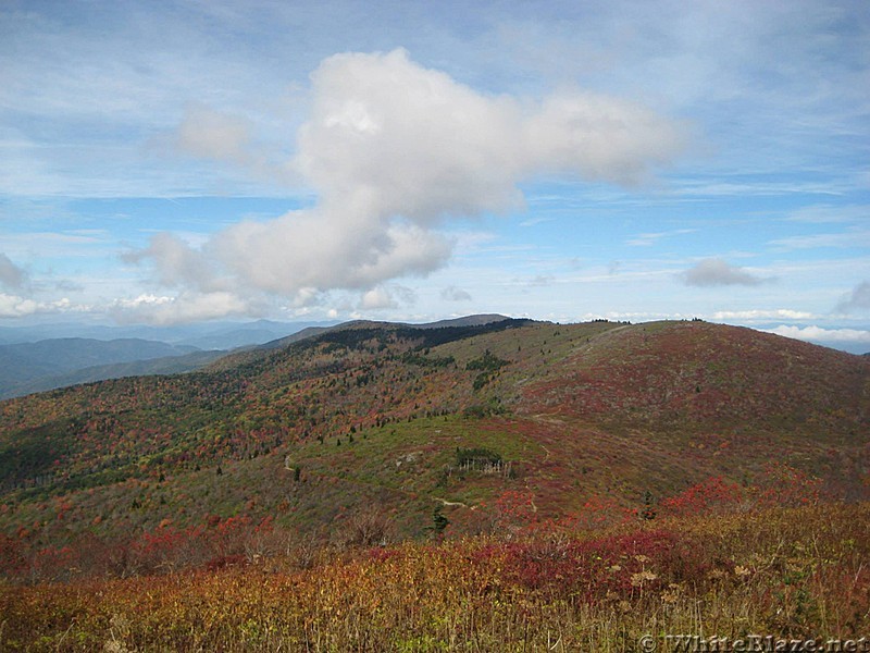 Ivestor Gap Trail