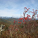 Ivestor Gap Trail