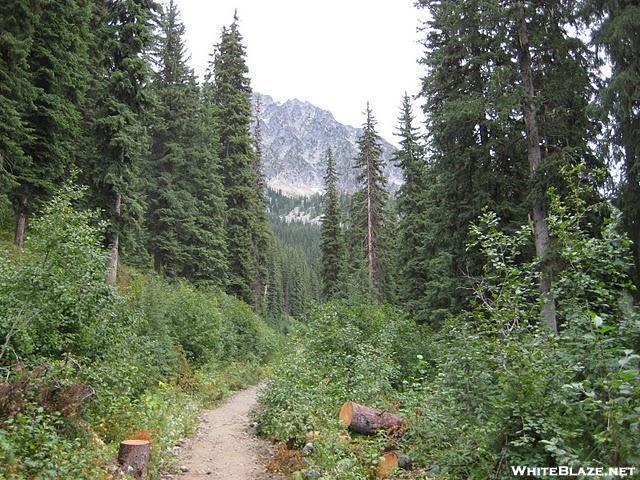 Kootenay Rockies