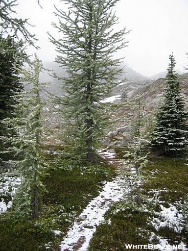 Kootenay Rockies