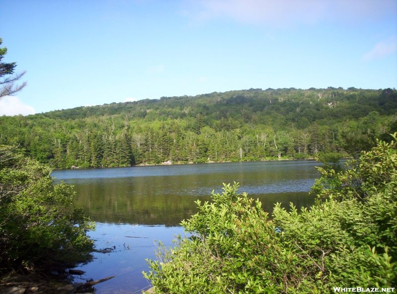 Griffith Lake