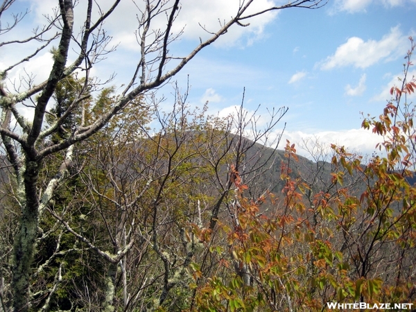 View Of Cold Mountain From Art Loeb Trail