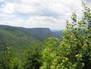 Shortoff Mountain From The Chimneys by wilconow in Other Trails