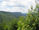 Shortoff Mountain From The Chimneys