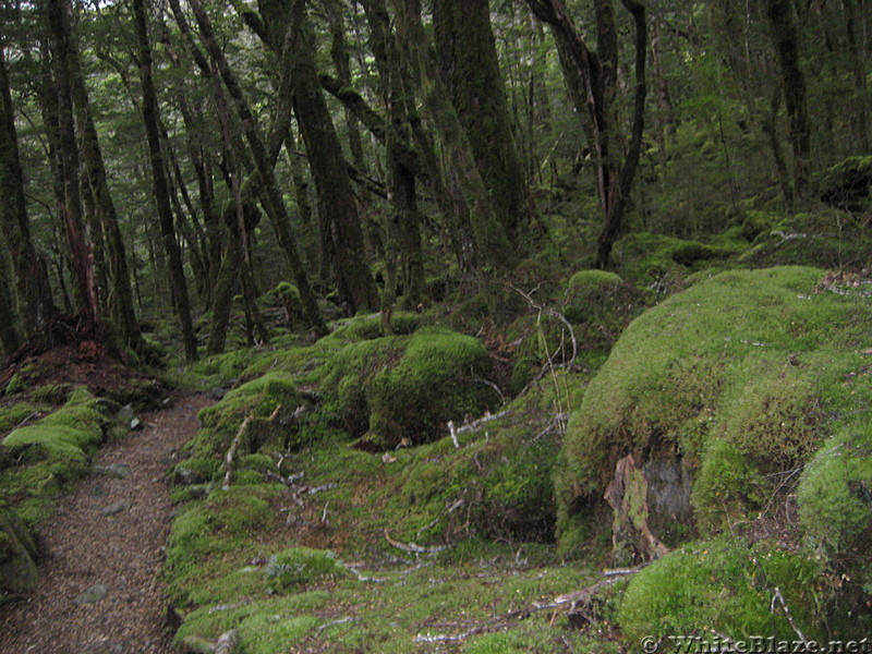 Kepler Track, New Zealand