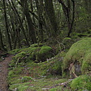 Kepler Track, New Zealand by wilconow in Other Trails