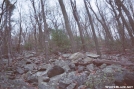 Rocky section near PA/MD border by wilconow in Trail & Blazes in Maryland & Pennsylvania