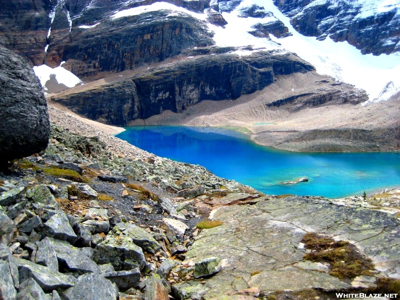 Lake O'hara Alpine Circuit, Yoho National Park