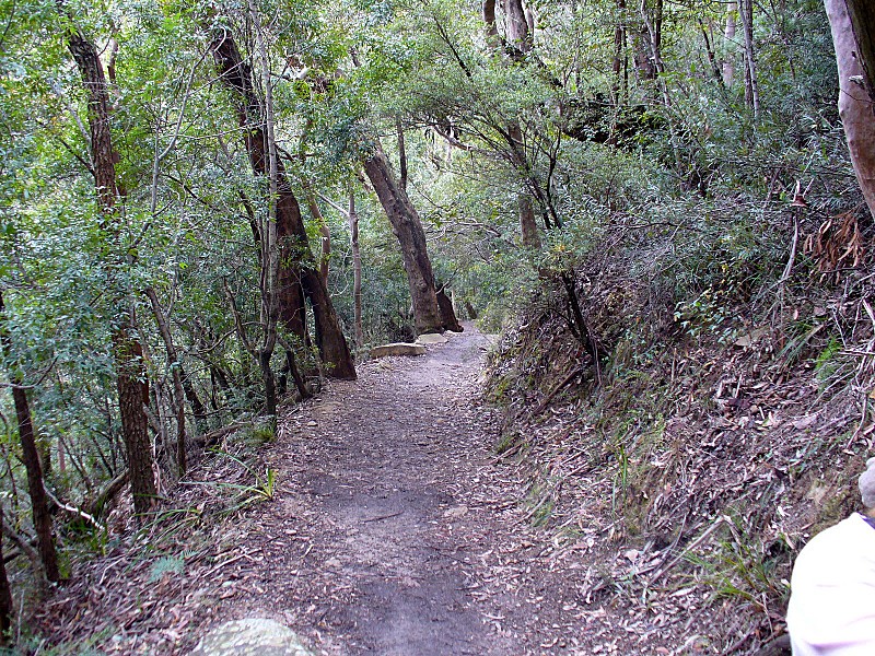 Blue Mountains National Park, New South Wales, Australia