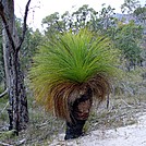 Wineglass Bay Trail, Tasmania, Australia by wilconow in Other Trails