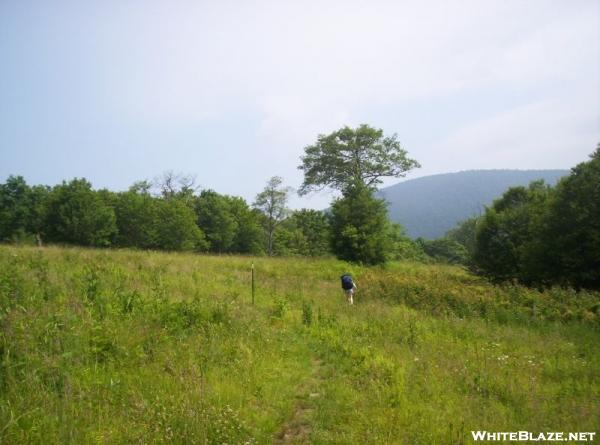 Unaka Mountain, from Beauty Spot