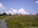 Round Bald, from Carvers Gap