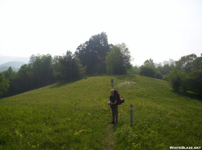 View from a Pasture, south of Big Bald