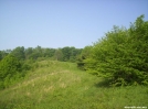 Clear trail by wilconow in Views in North Carolina & Tennessee