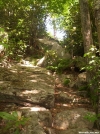 Exposed Ridge Trail, south of Flint Mountain Shelter by wilconow in Trail & Blazes in North Carolina & Tennessee