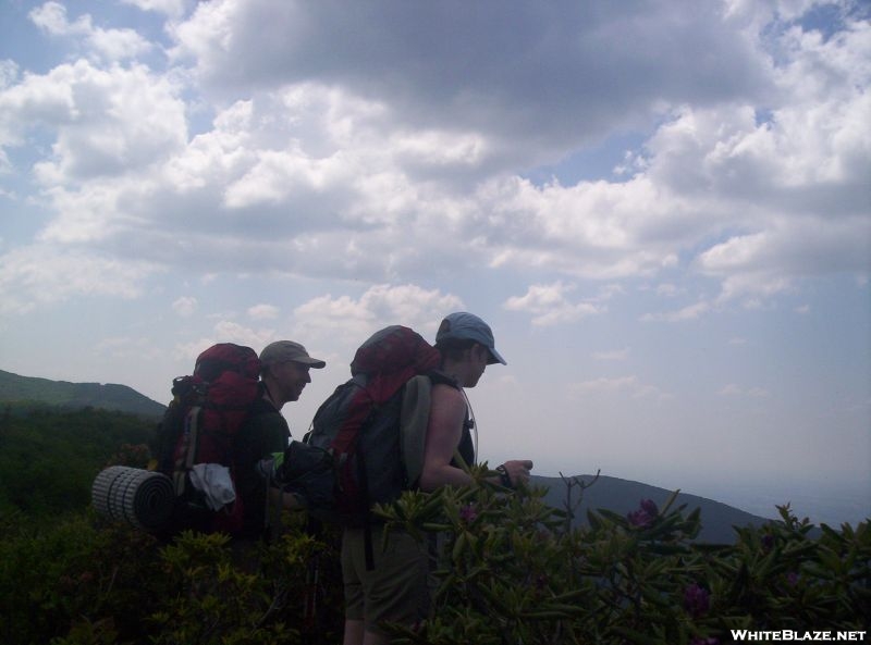 View from Exposed Ridge Trail, north of Little Laurel Shelter