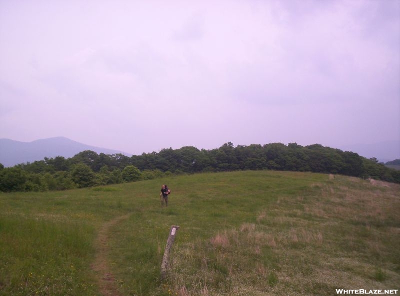 On Max Patch