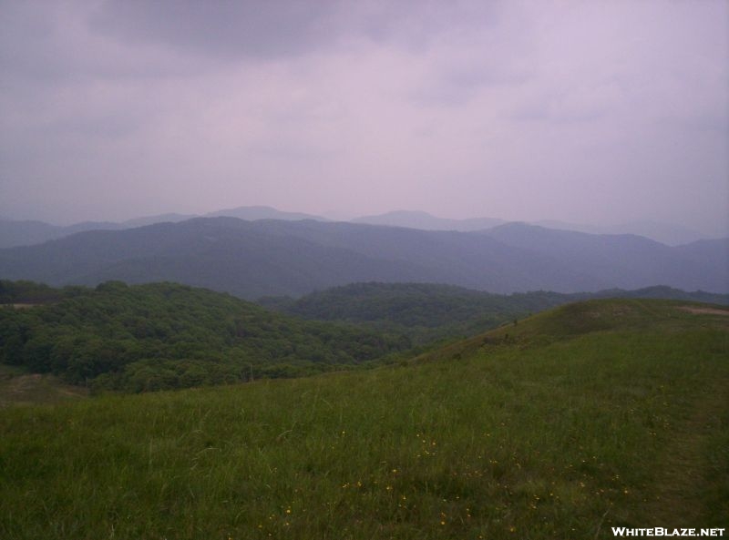 On Max Patch