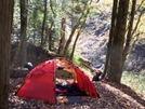 Bankhead National Forest by Hoppin John in Tent camping