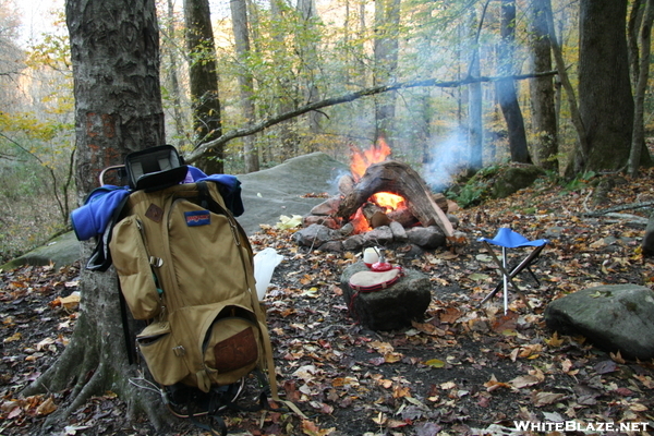 Bankhead National Forest