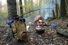 Bankhead National Forest by Hoppin John in Other People