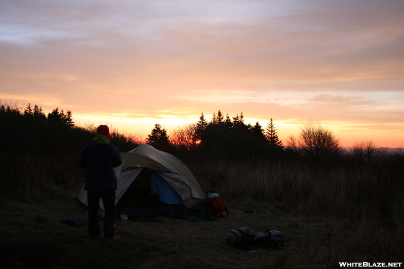 Sunrise Bobs Bald