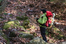 Bankhead National Forest by Hoppin John in Other People