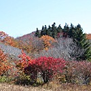 Joyce Kilmer by Hoppin John in Other Trails