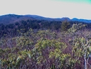 View From Shinning Rock Toward Cold Mtn. by Summit in Views in North Carolina & Tennessee