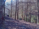 Camping On Shinning Rock Creek by Summit in Views in North Carolina & Tennessee