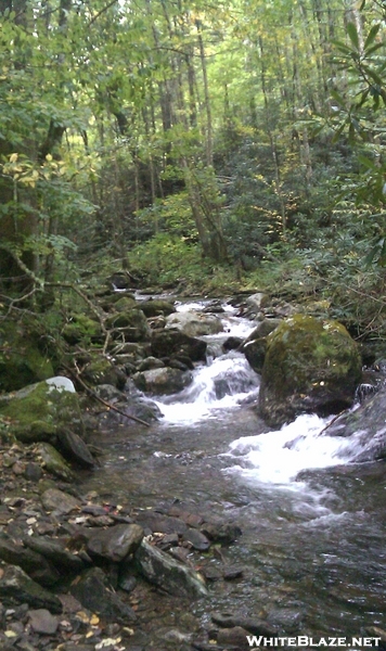 Shinning Rock Wilderness