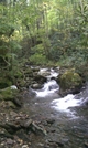 Shinning Rock Wilderness by Summit in Views in North Carolina & Tennessee