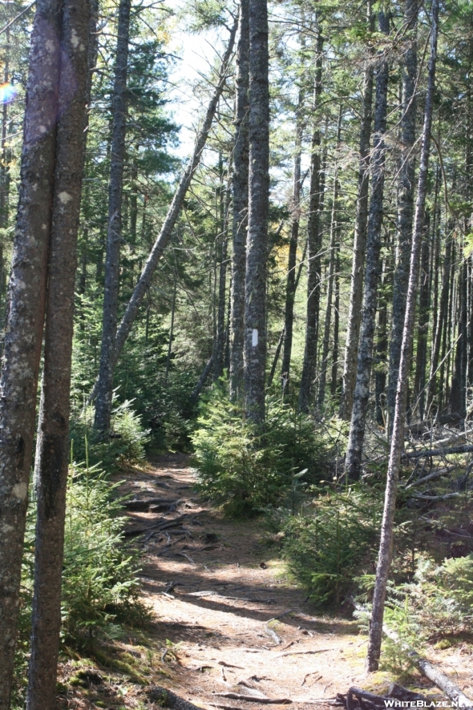 A stroll by Elbow Pond in BSP