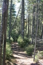 A stroll by Elbow Pond in BSP by Guit_fishN in Trail & Blazes in Maine