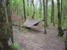 Hanging At Low Gap Shelter