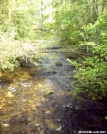 East Fork Chattooga