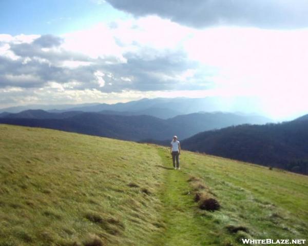 Max Patch