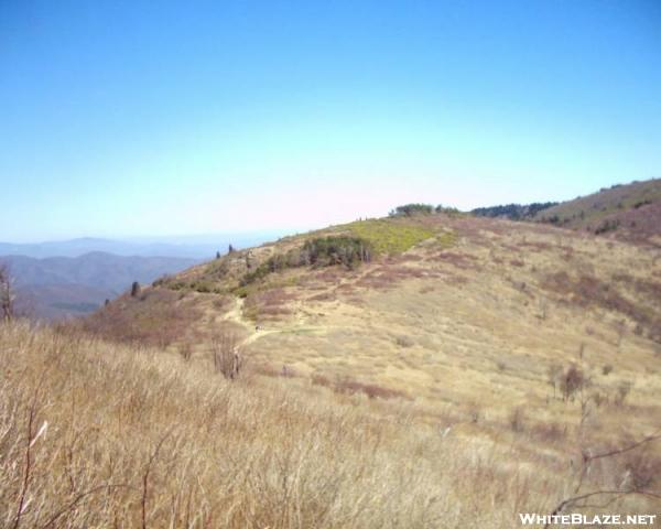 Black Balsam Knob