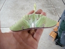 Luna Moth by Pony in Other