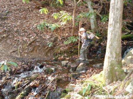 Stream Crossing