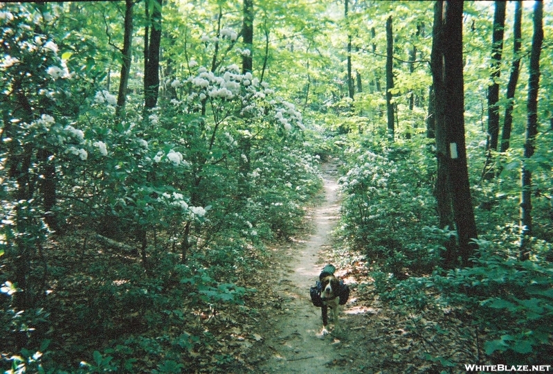 Hike 2005