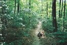 Hike 2005