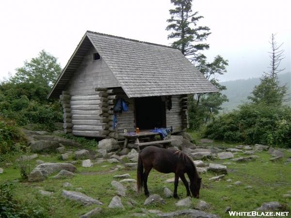 thomas knob shelter