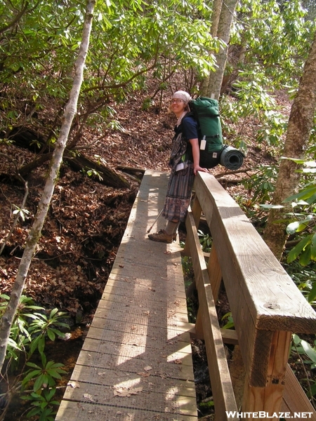 Bridge Across Waterfall Near Franklin