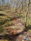 Trail In The Smokies